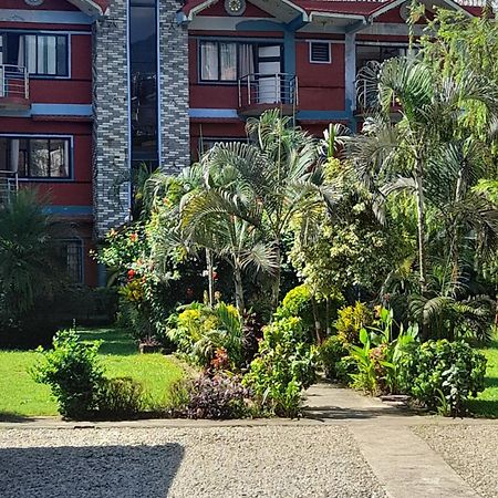 Hotel New Elia بوكْرا المظهر الخارجي الصورة