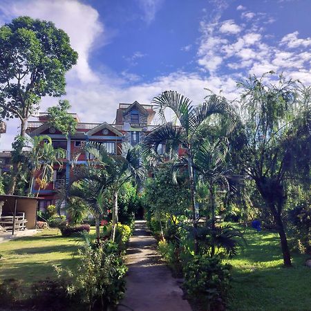 Hotel New Elia بوكْرا المظهر الخارجي الصورة