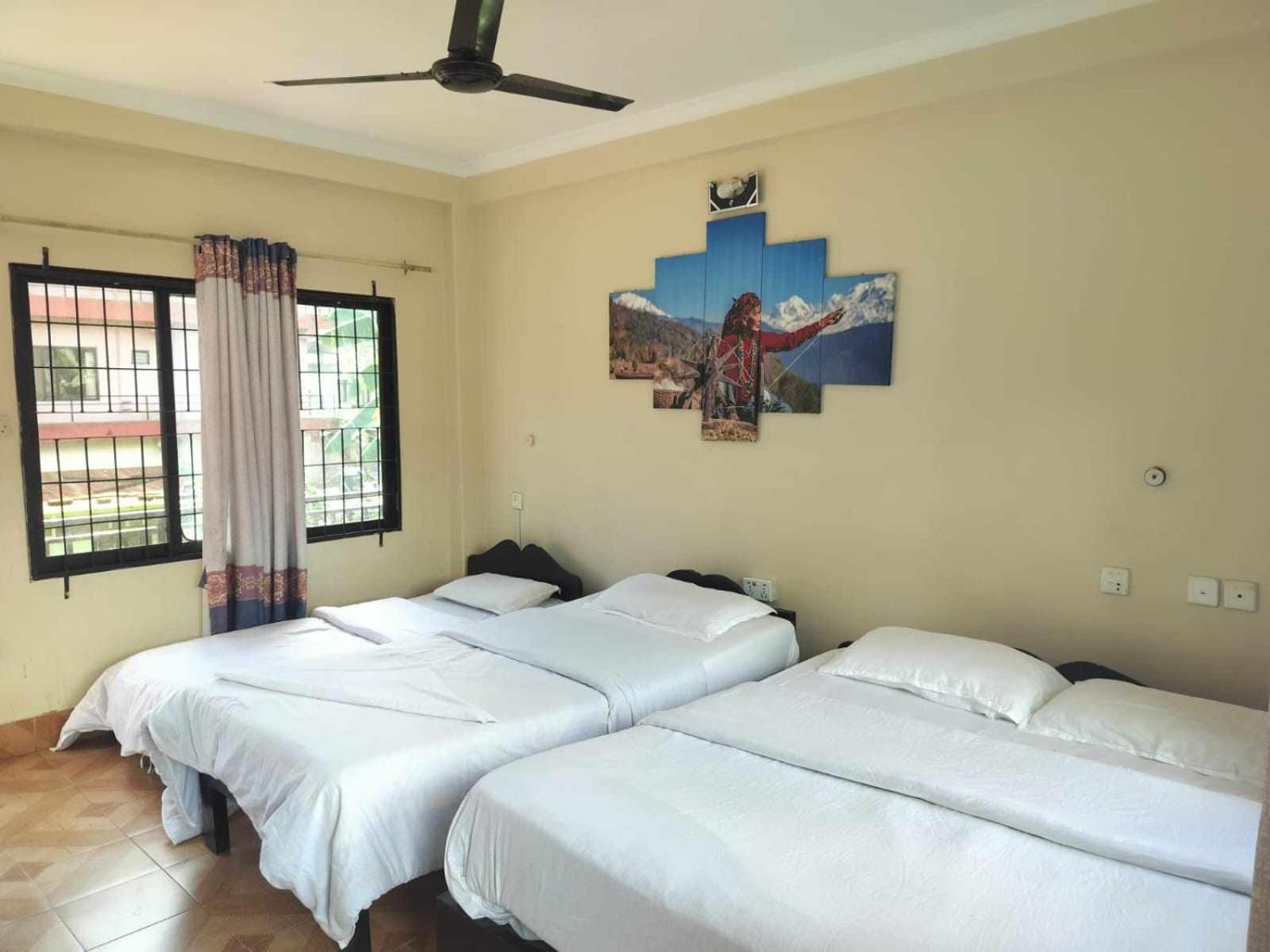 Hotel New Elia بوكْرا المظهر الخارجي الصورة